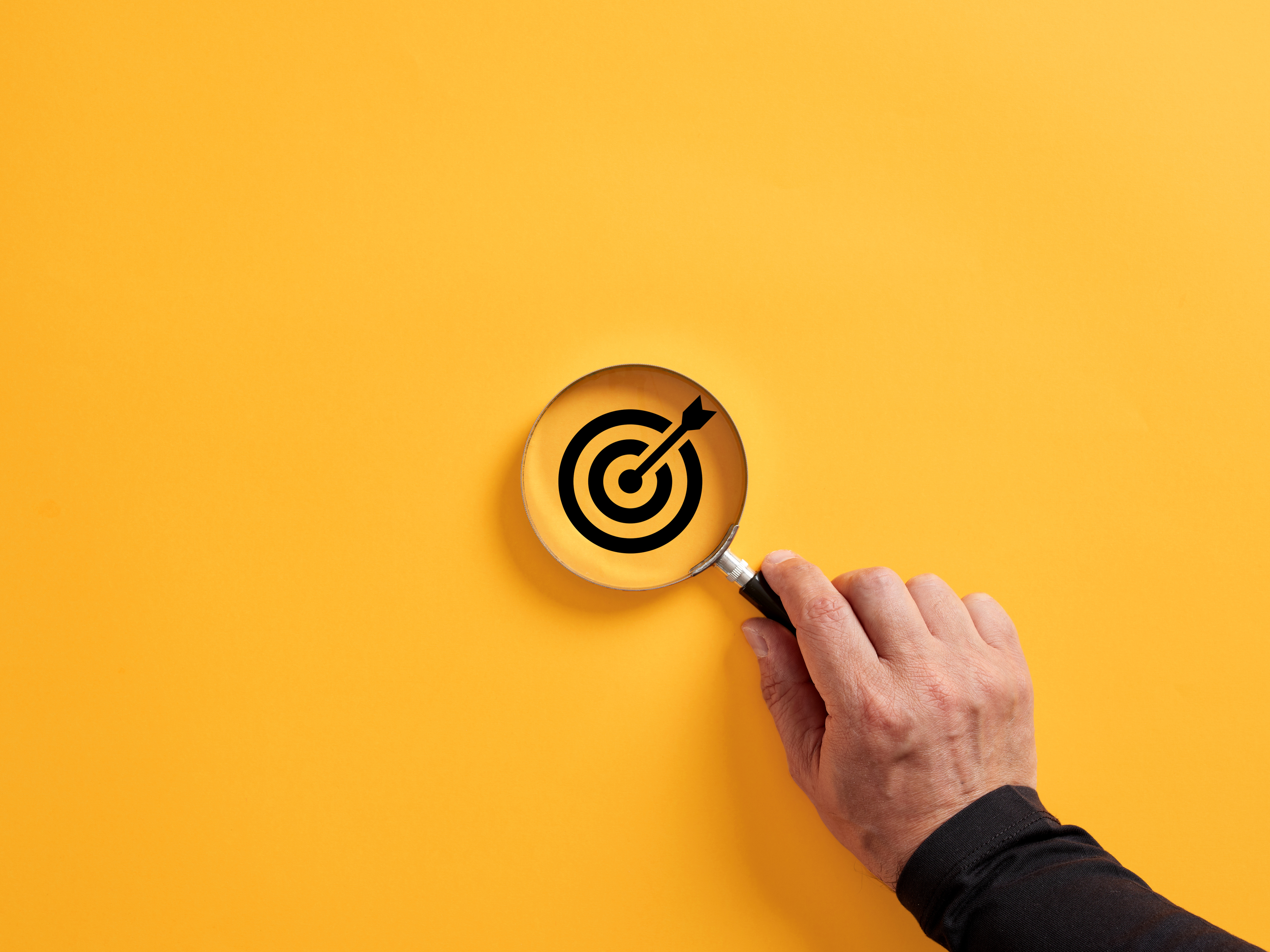 "bullseye under microscope"